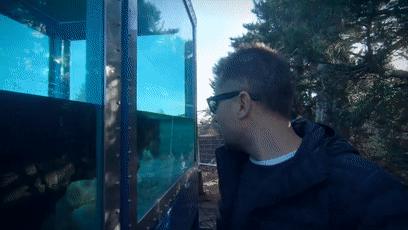 僵尸水族馆原片 (恐怖鲨鱼僵尸)