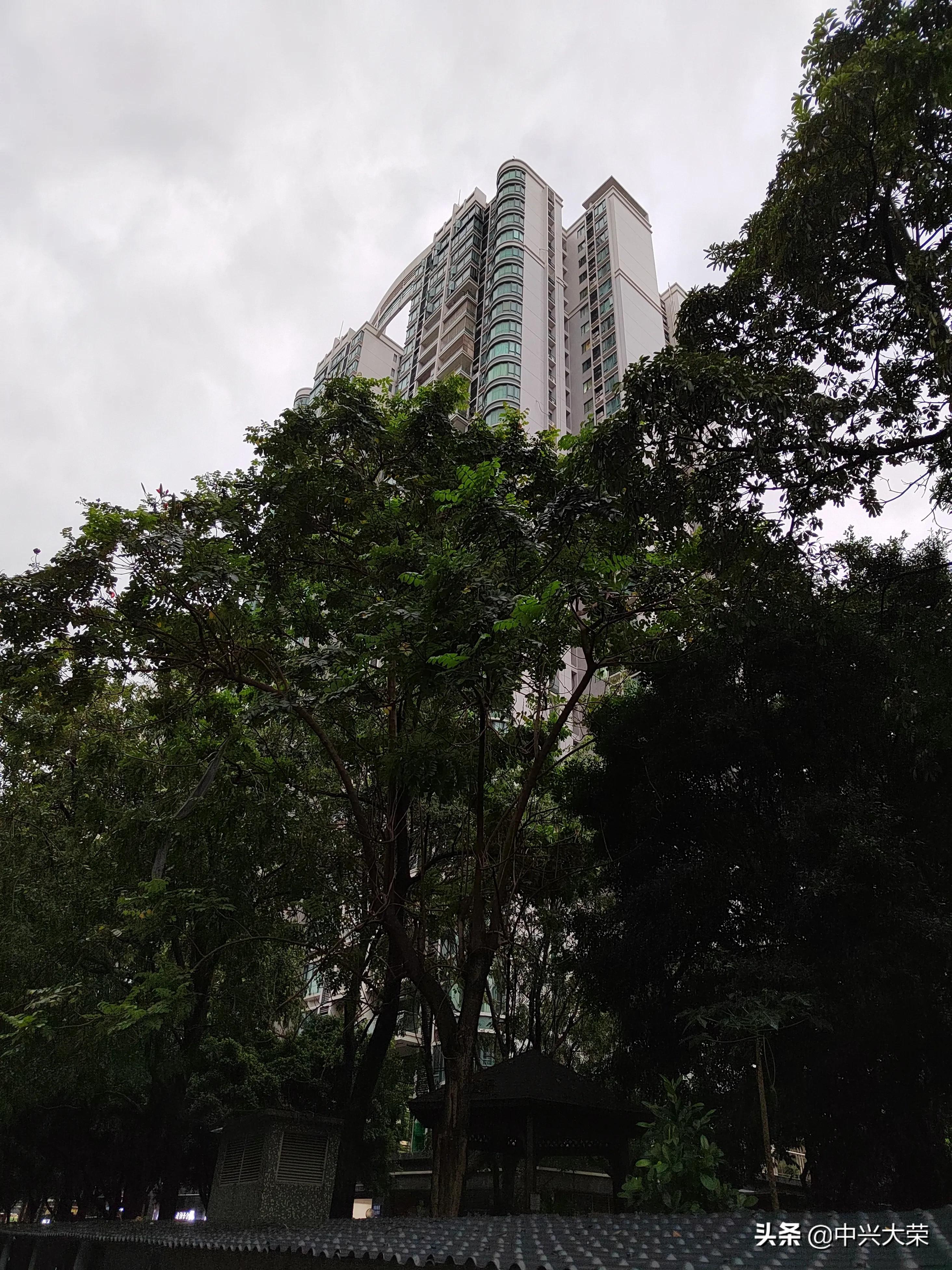 为了那场渴望的赛事