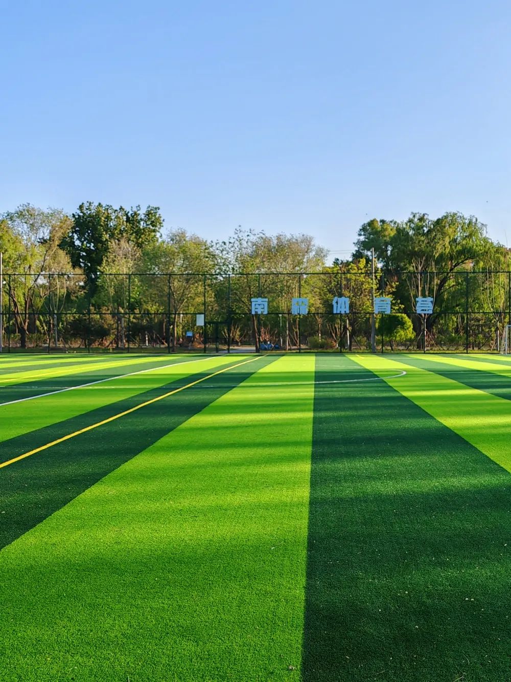 南苑森林湿地公园预约,南苑森林湿地公园团购