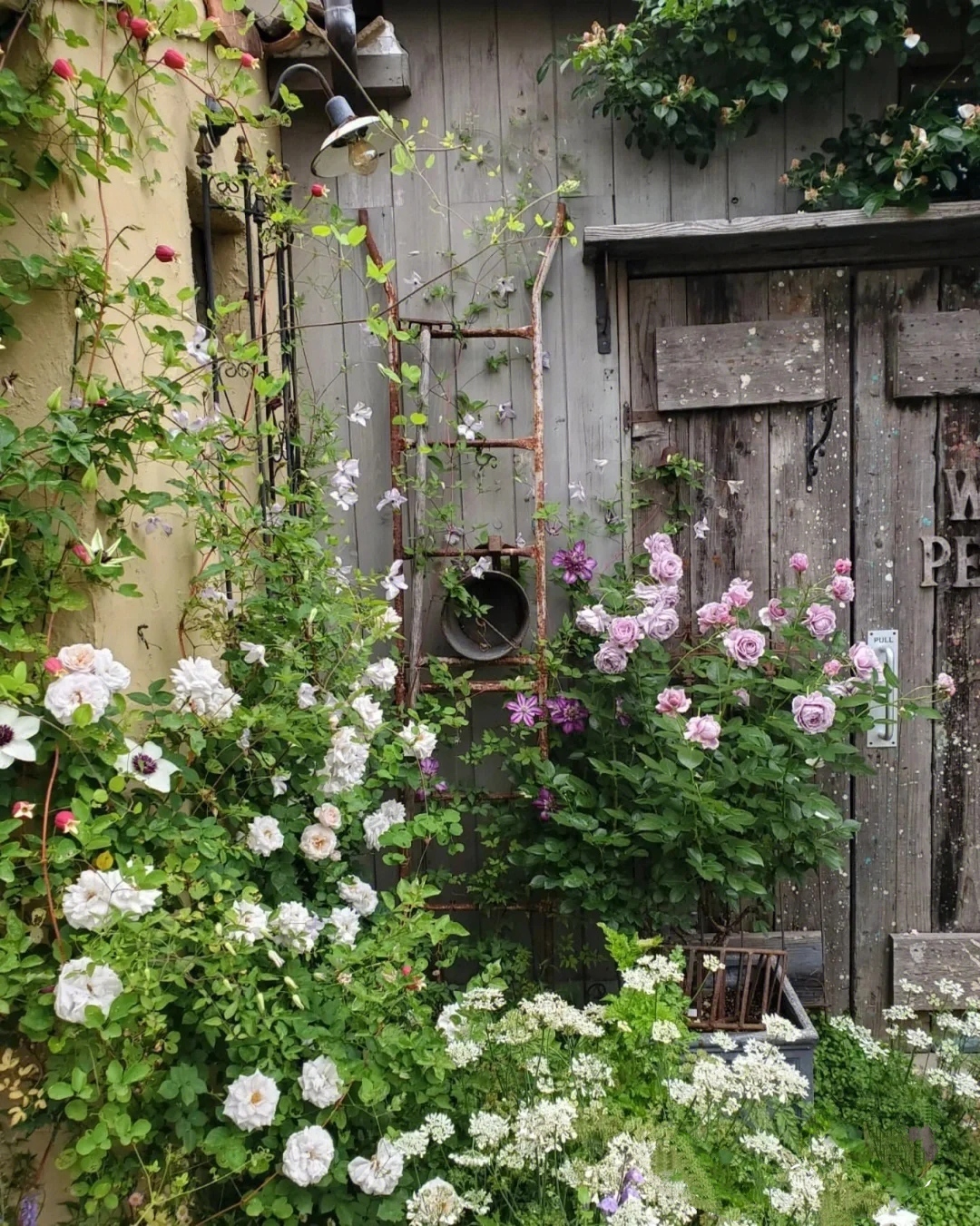 最简单省钱好打理的庭院设计方案,极简风格的庭院设计