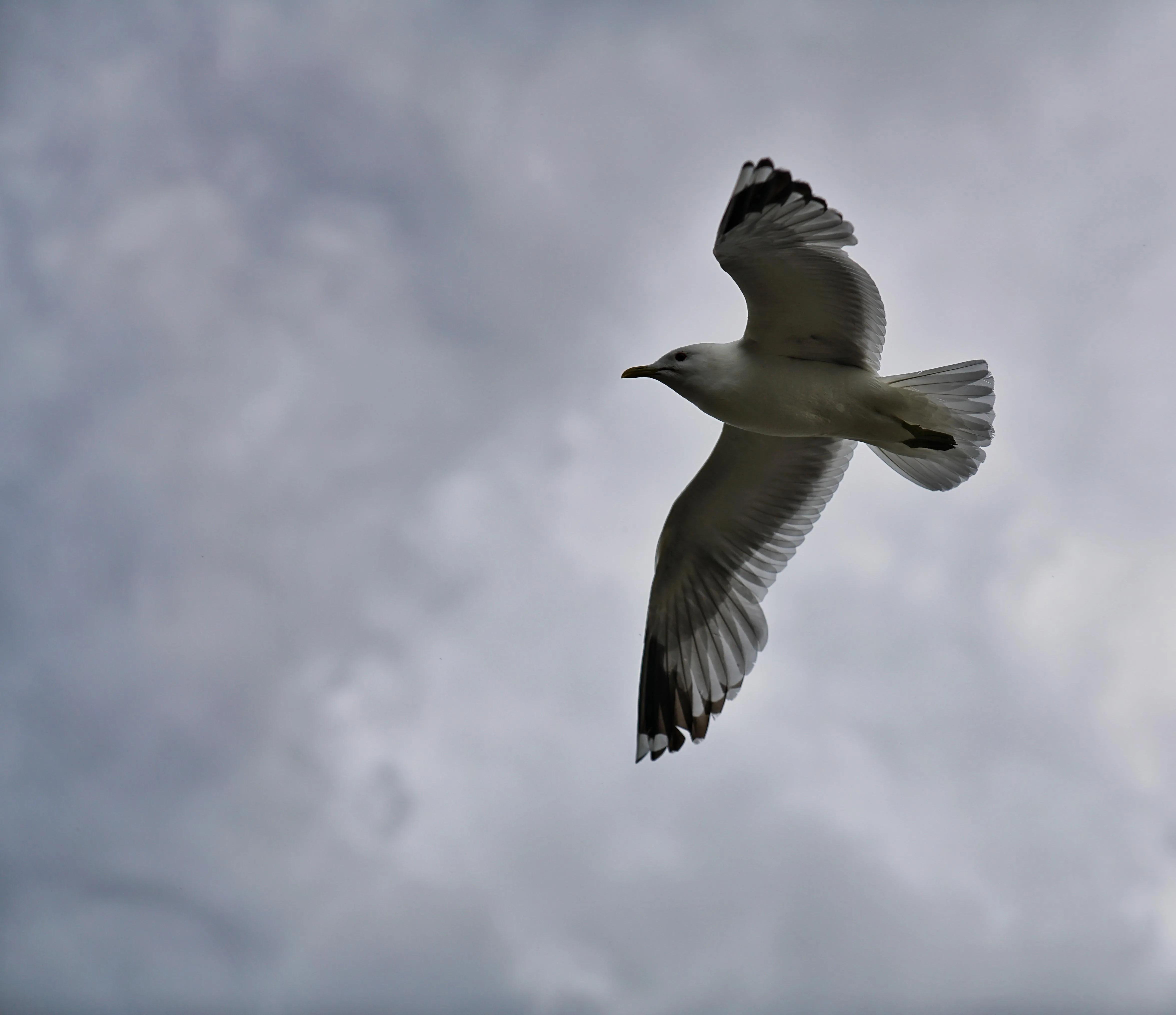 英伦三岛完整版,英伦三岛苏格兰英格兰