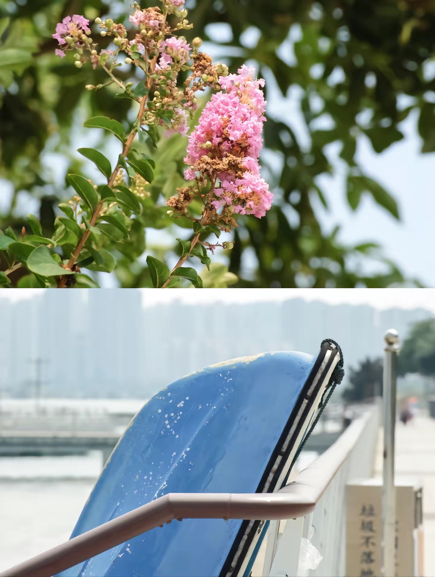 适合小白的ccd相机推荐,拍照好的ccd相机推荐