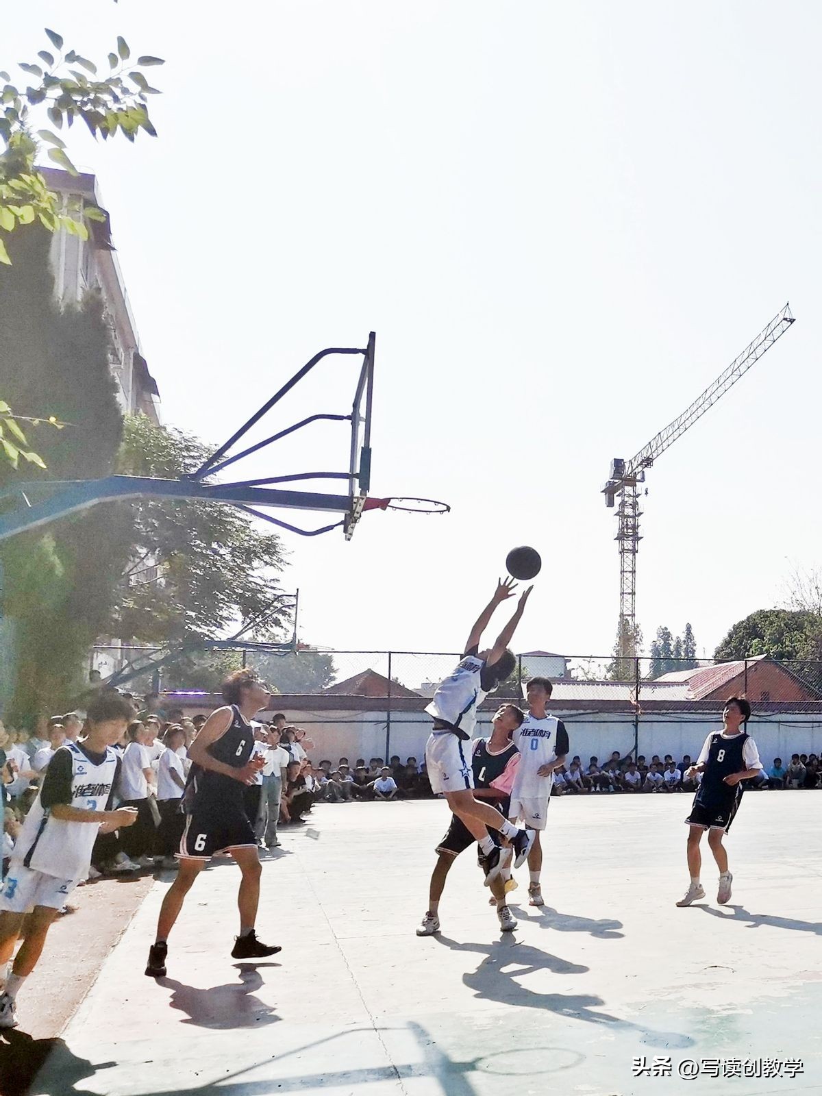 展社团风采庆盛世芳华,社团风采展示活动有哪些