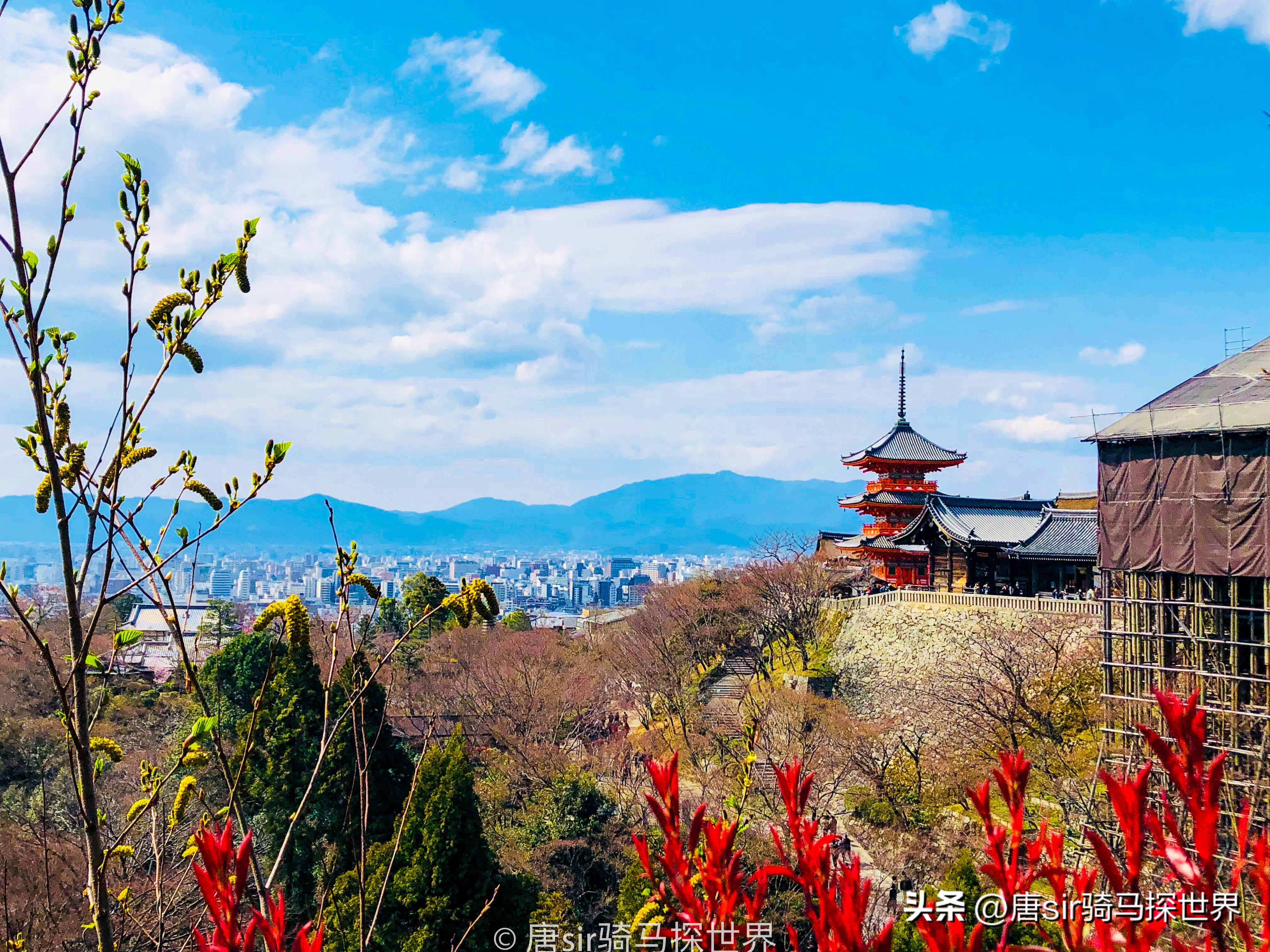京都小景点旅游攻略大全,京都攻略旅游自由行