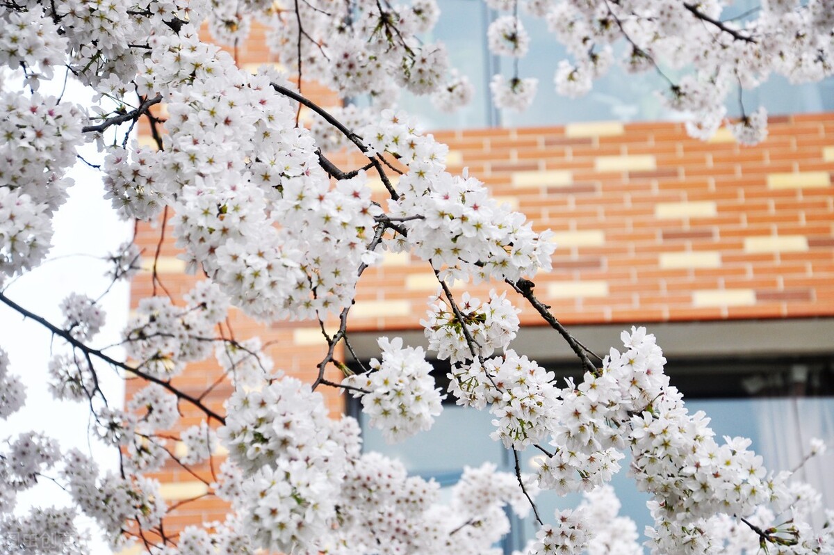 拥有一个好的性格需要多久,拥有好的心态就能成功的事例