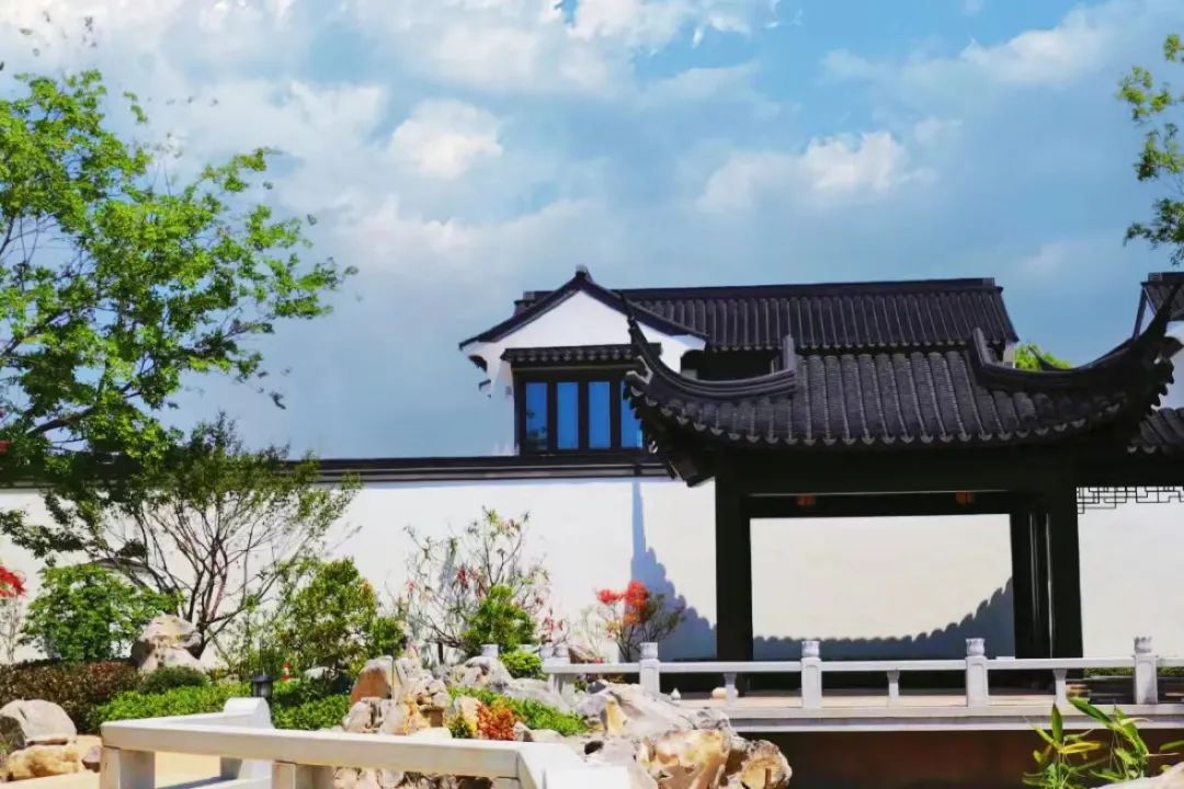 日照东方*阳城太**|总有“院望”曾相识！阅尽千帆，此心安处便是吾乡