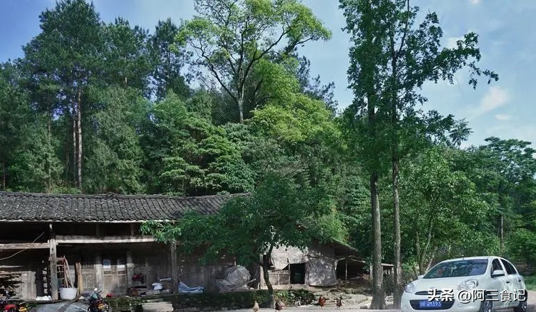 农村闷声赚钱行业,适合农村最赚钱的独门小生意