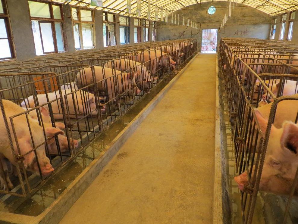 广西首富廖荣纳,广西柳州正菱集团廖荣纳