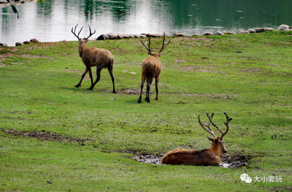 北京可以搭帐篷的免费公园,北京3月可以搭帐篷的公园
