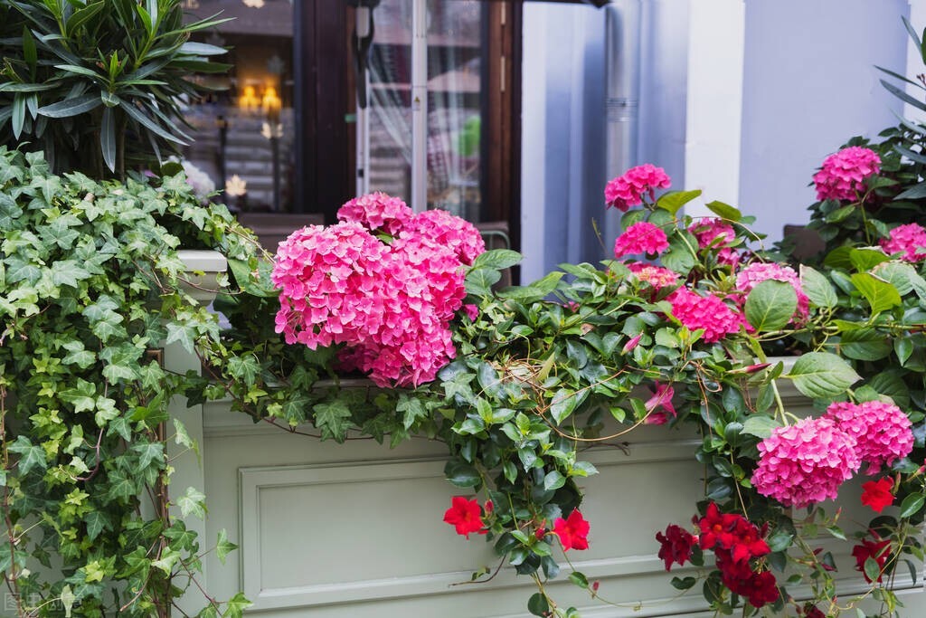 新手零基础学习花店,新手小白如何做线上花店