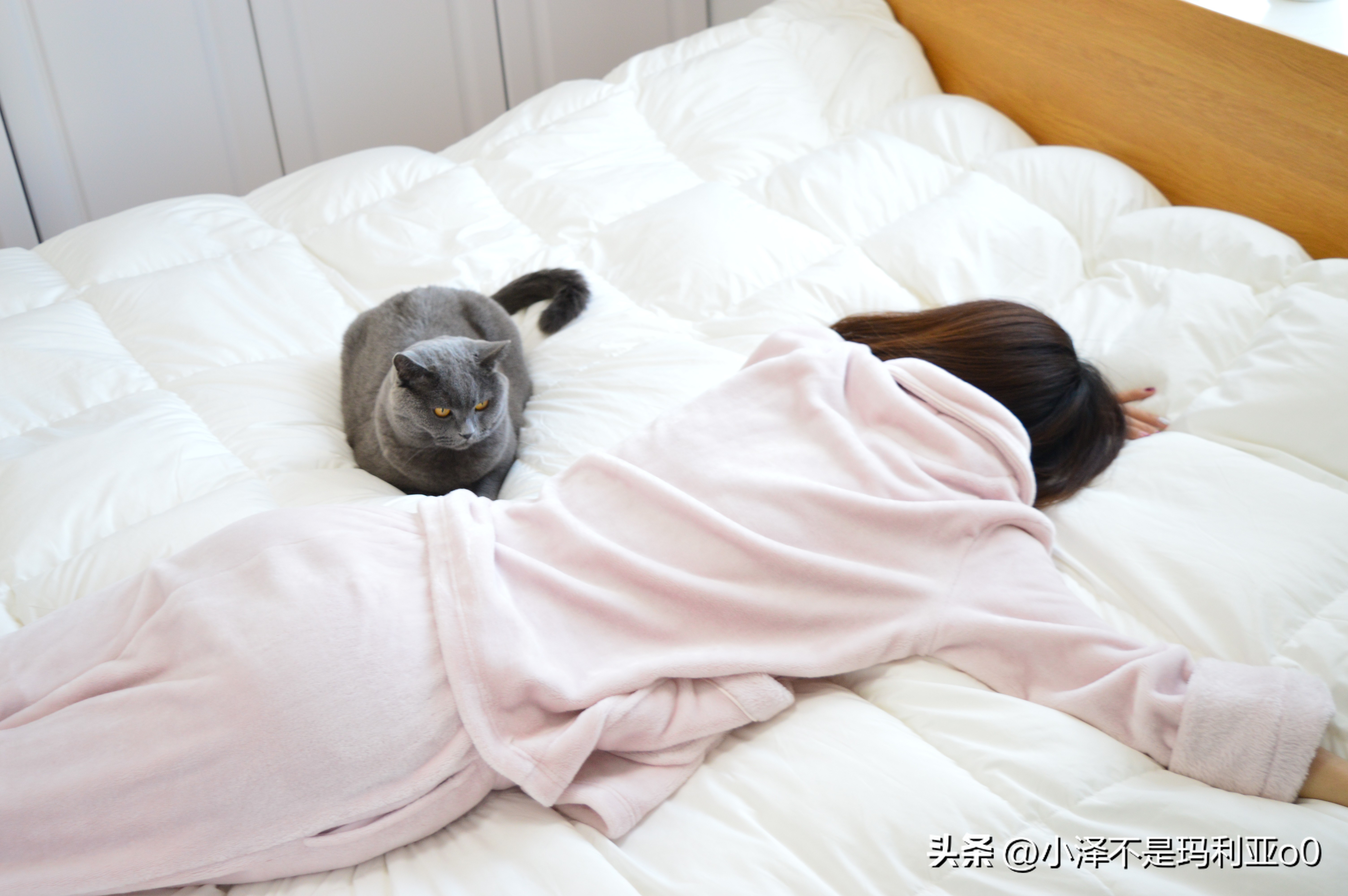 花1000多买被子,花1000买蚕丝被值不值