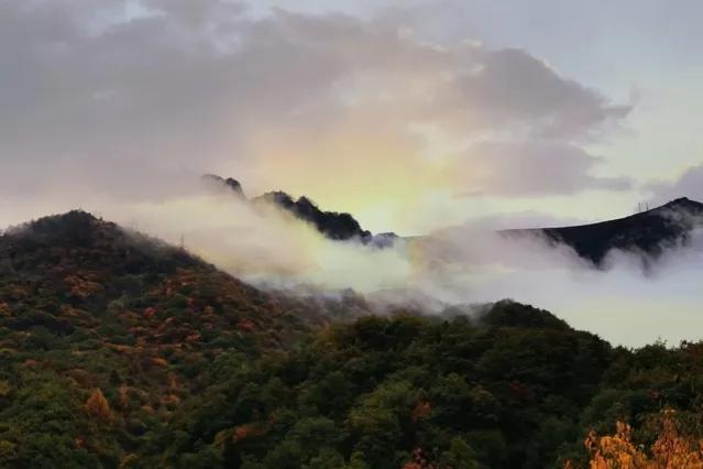 梦好莫催醒的句子,好梦莫催醒