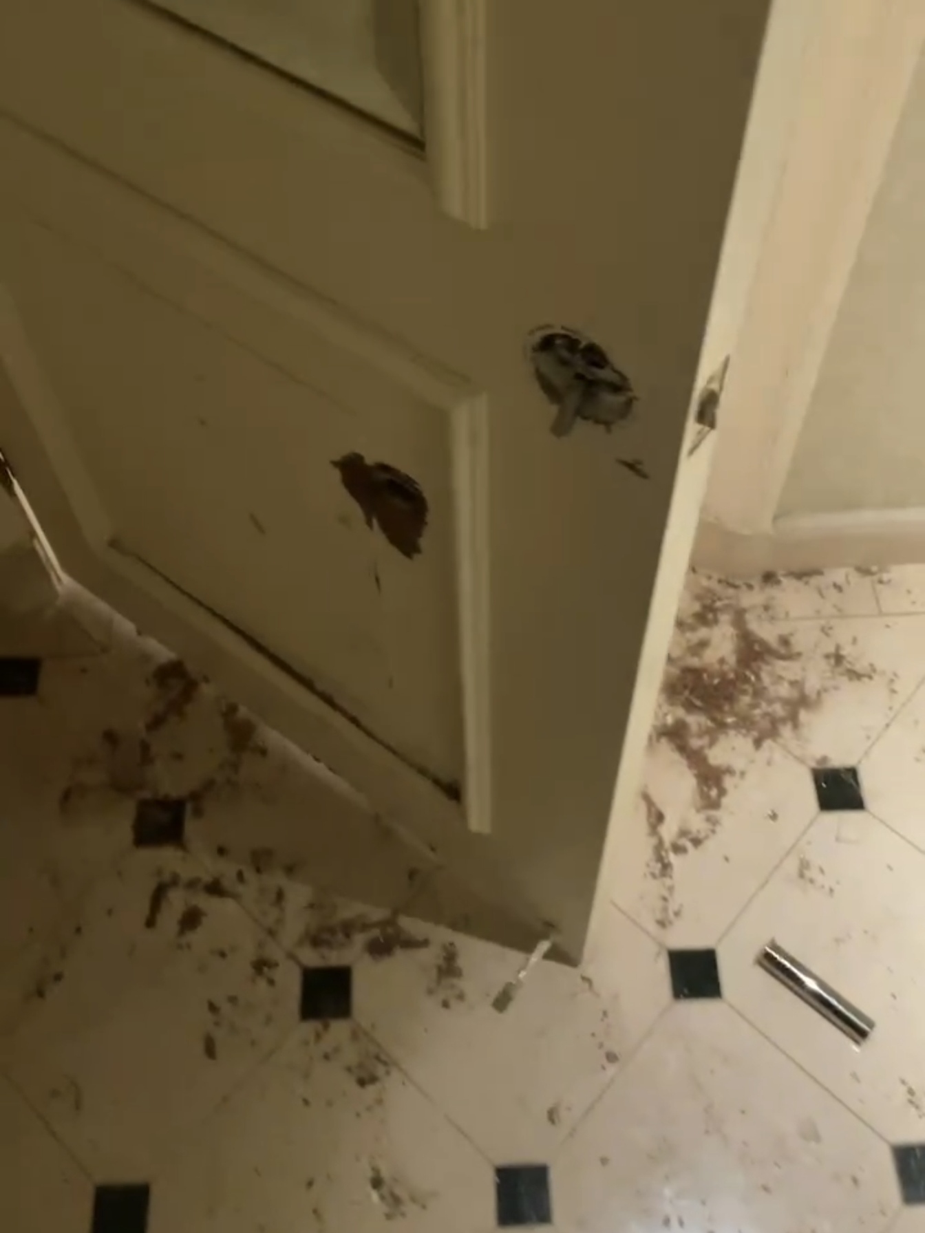 女演员被困酒店厕所,女演员被困酒店厕所怎么逃出来的