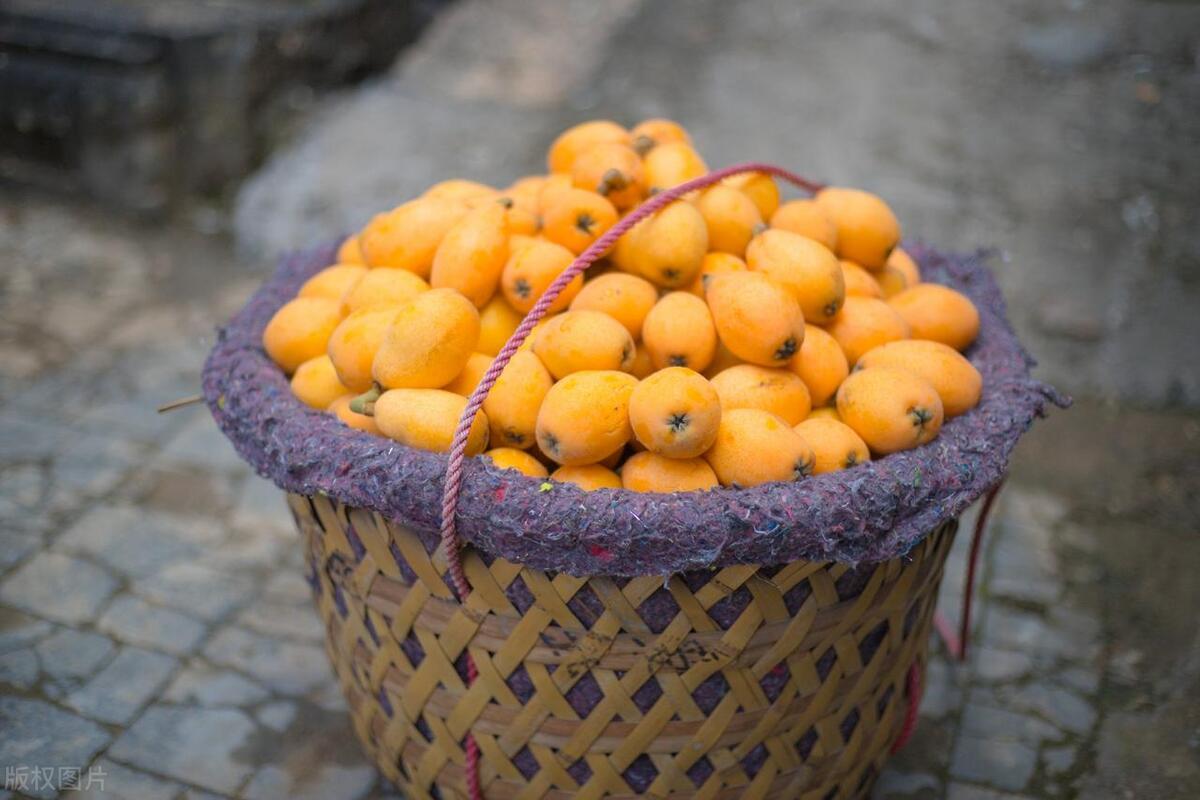 九成的国人都对她有误解！上天造神、下地造鞋，夹在福泉两州之间