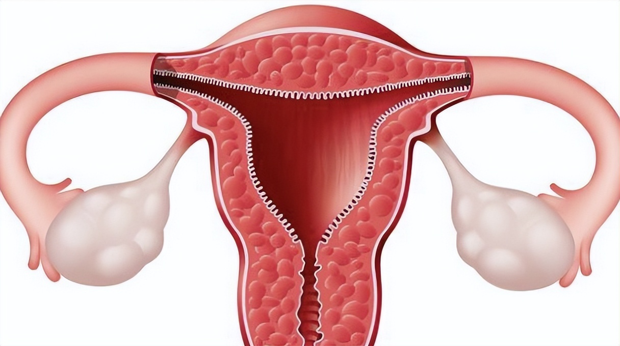 日本女人妇科病少的原因,为什么日本女人妇科病不多