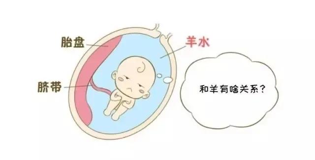 孕期知识什么是羊水栓塞,孕期破水的科普