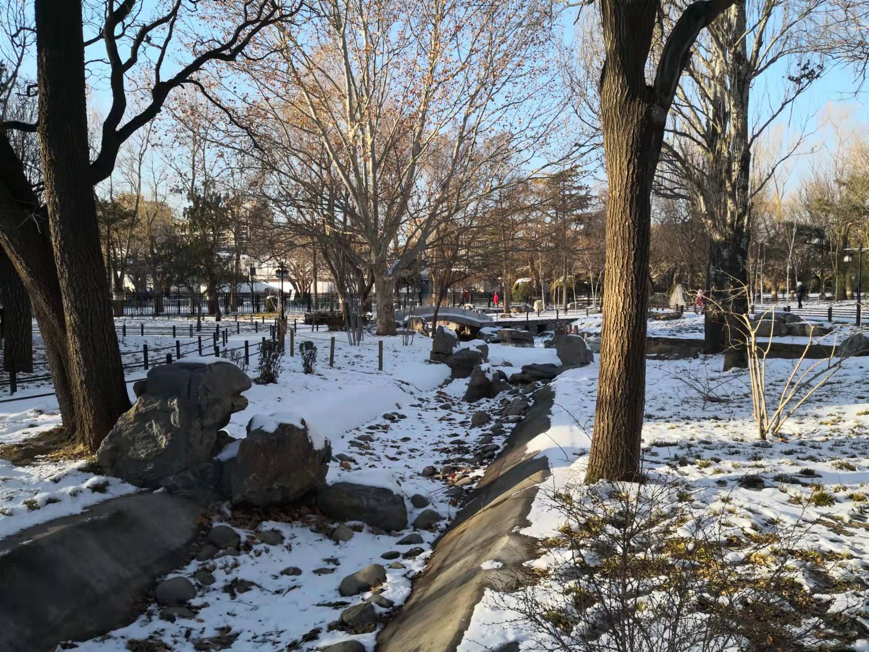 过年了天蓝蓝（诗歌十首）北京张新贵