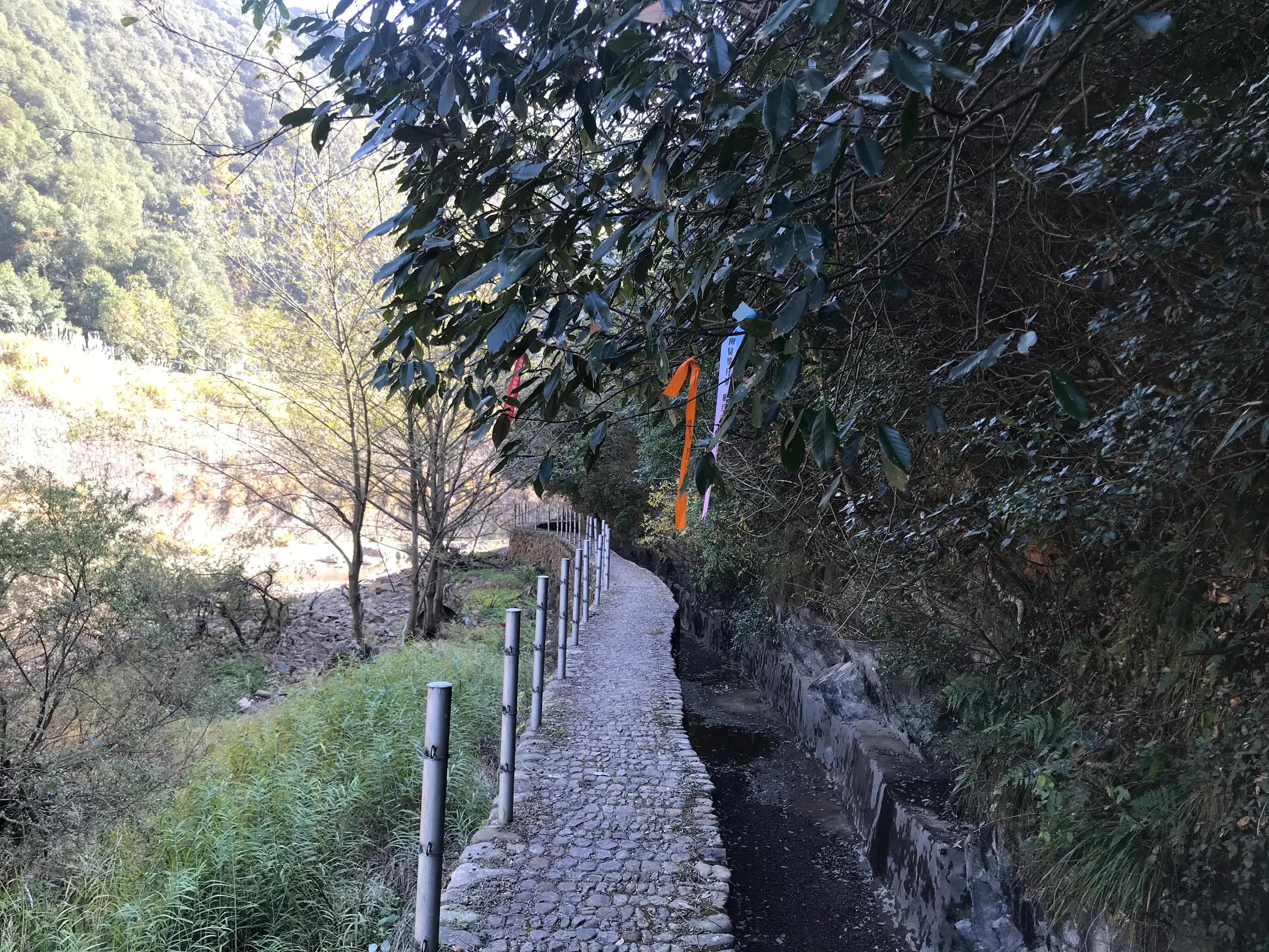 桐庐芦茨湾农家乐三日之行,桐庐县芦茨农家乐推荐