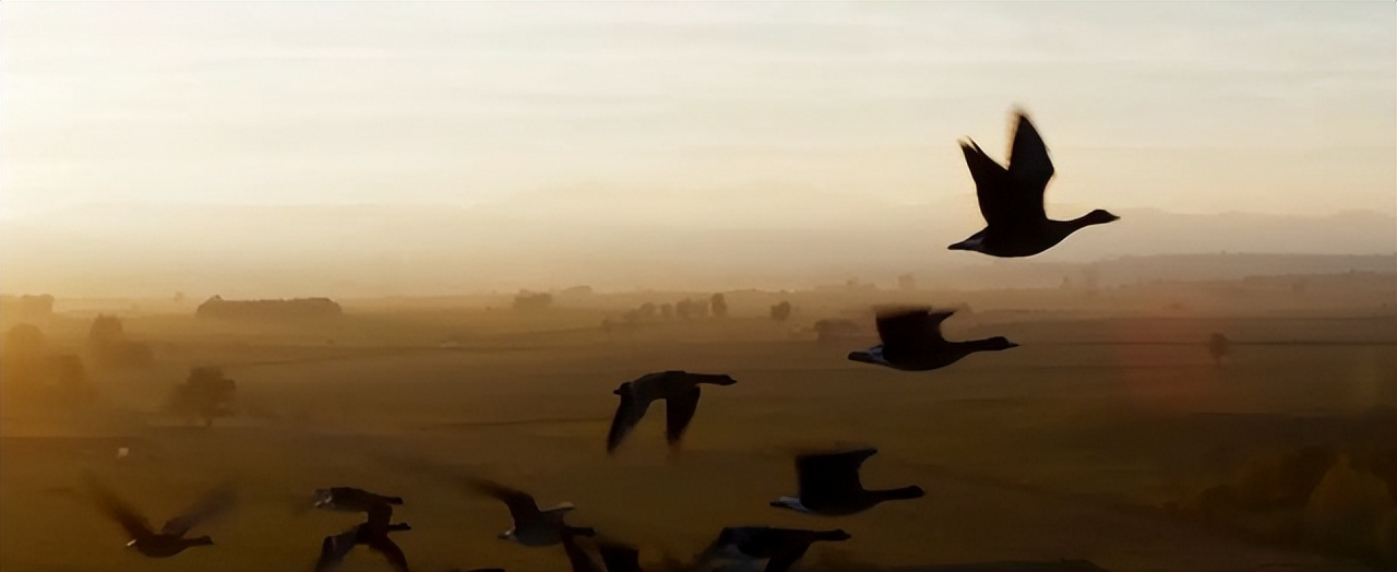 湖北一山洞吐鱼视频,湖北一山洞每年吐鱼