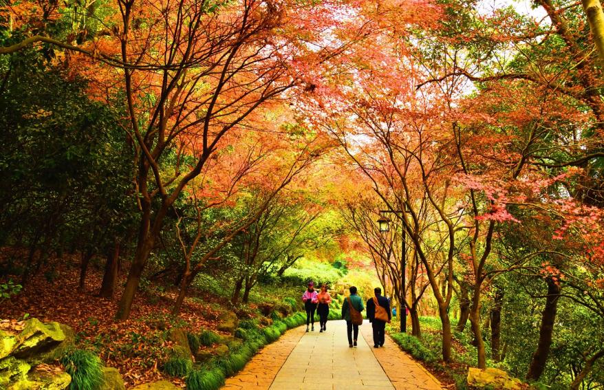 描写西湖秋天的古诗,西湖的秋天最美