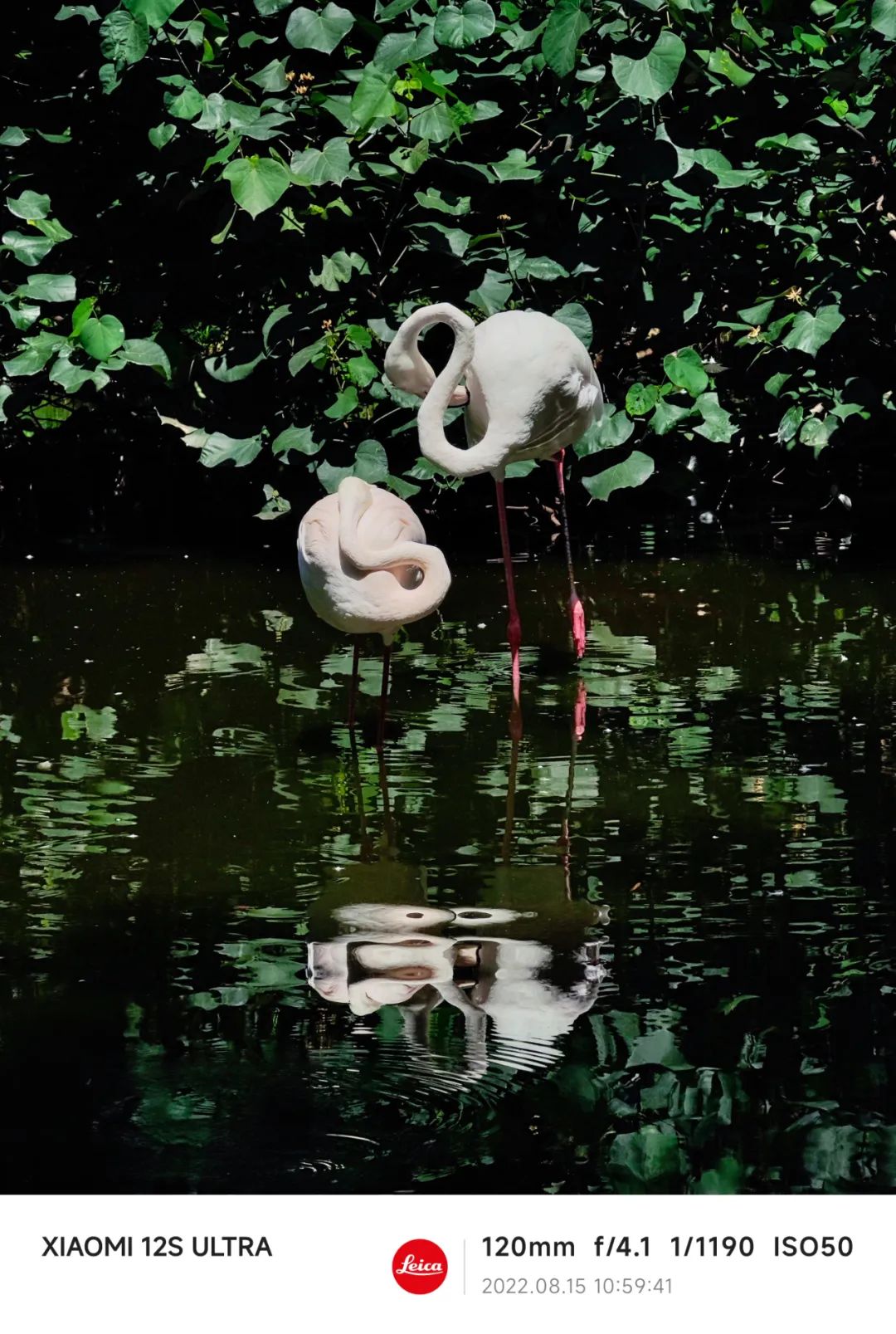 拍照片怎么用好色彩,拍照怎么用好色彩看这篇就够了