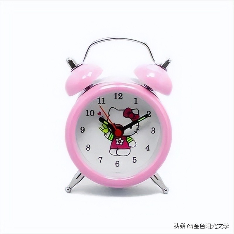 作文心爱之物500字,我的心爱之物作文开头