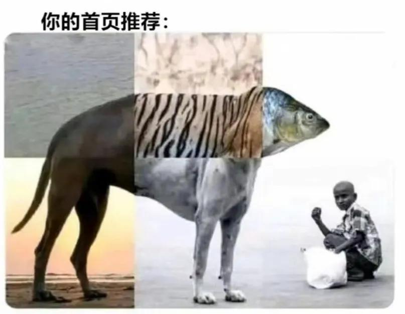 捅了别人一刀我该怎么办,被人捅了一刀该不该拔出来