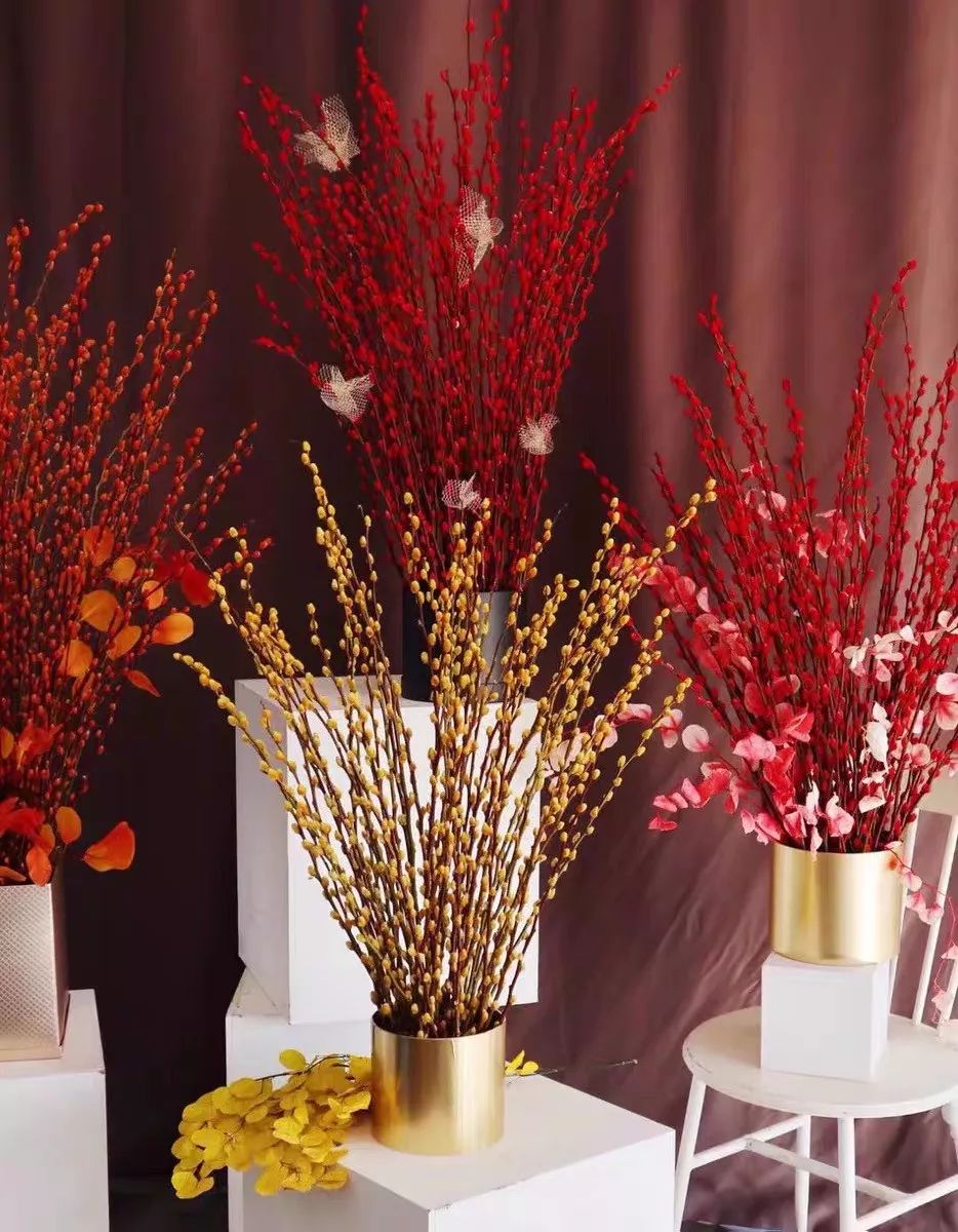 过年养什么盆栽花好看又好养,过年家里养什么水培植物好