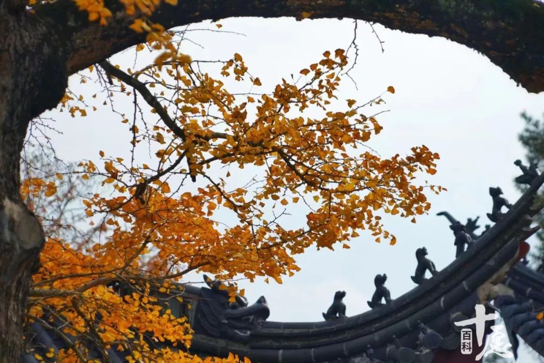 佛教弘一法师说一切随缘,弘一法师关于佛教的名言