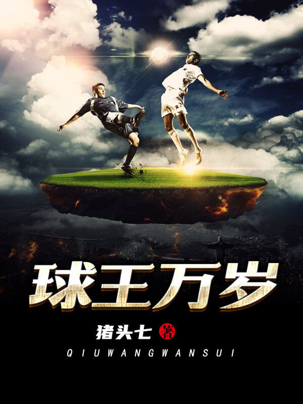 推荐都市小说前十名,推荐几本完结的好看的足球小说