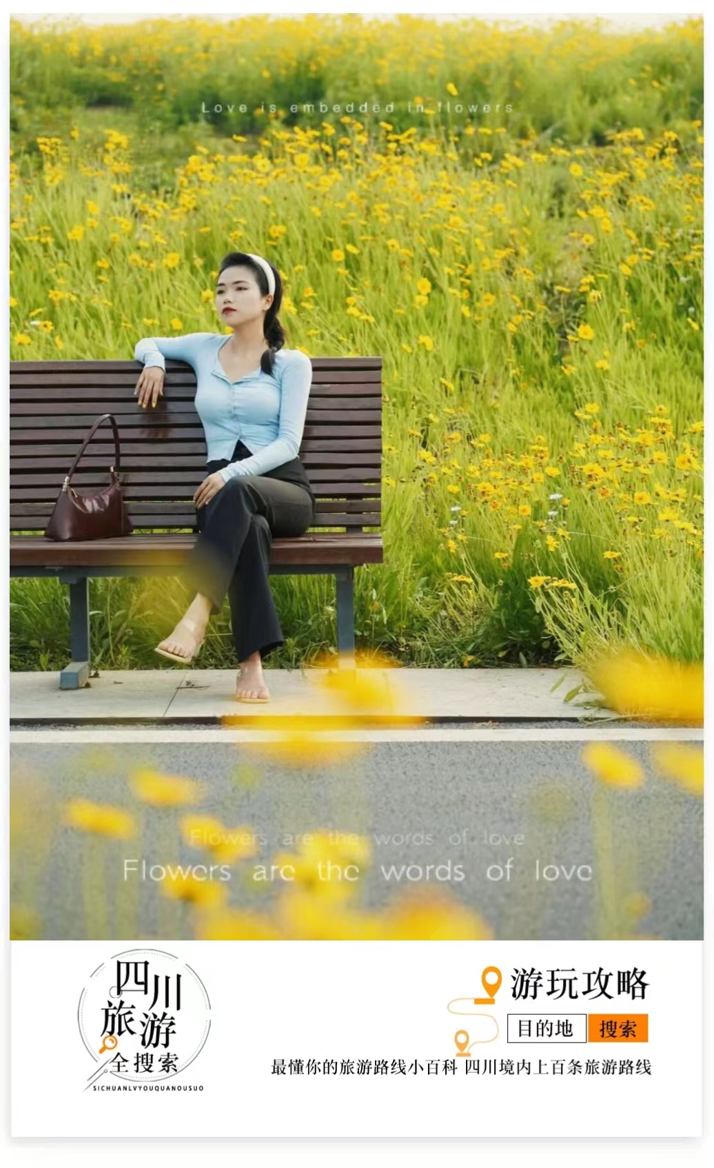 金鸡菊花海旅游攻略,金鸡菊花海美景