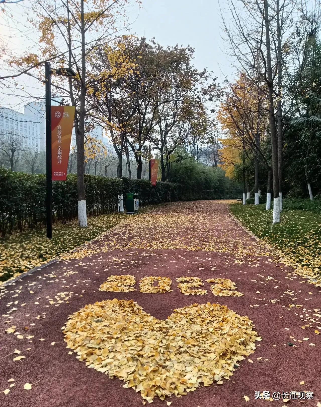 西安“四区联动”效果初现，刘国中强调继续加大措施力度