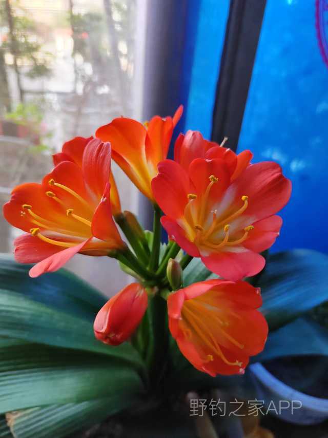 垂钓位置小浪底,小浪底垂钓秘籍