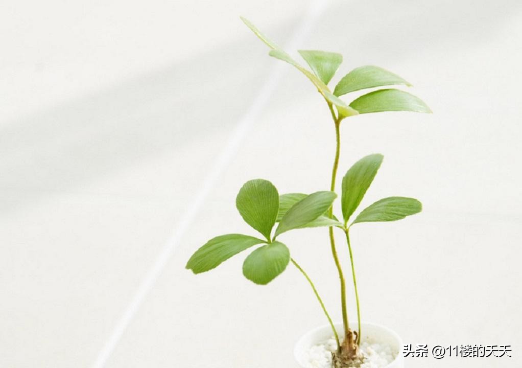 不联系的微信好友是删除还是拉黑,没有联系的微信好友要不要删除