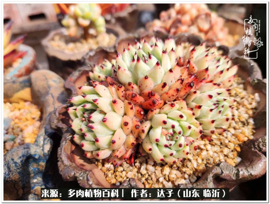 活在当下珍惜眼前平凡的生活,活在当下感慨万千