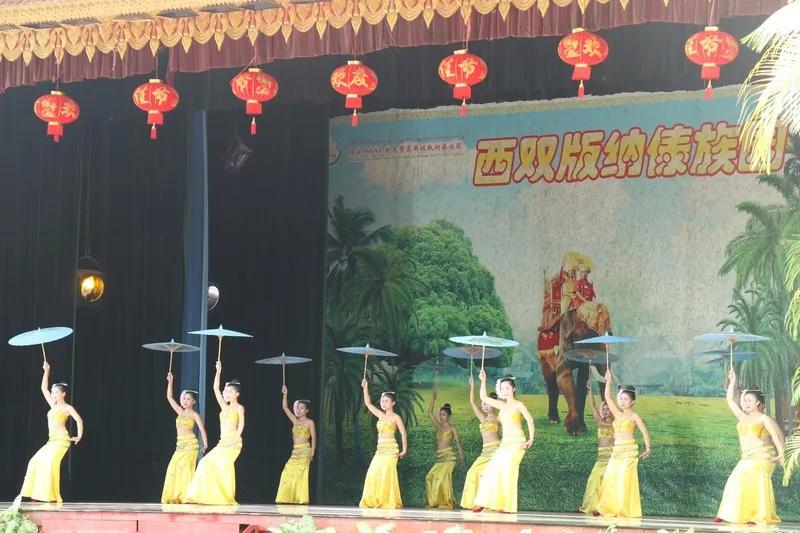 云南西双版纳旅游攻略app,云南西双版纳旅游攻略自由行12月