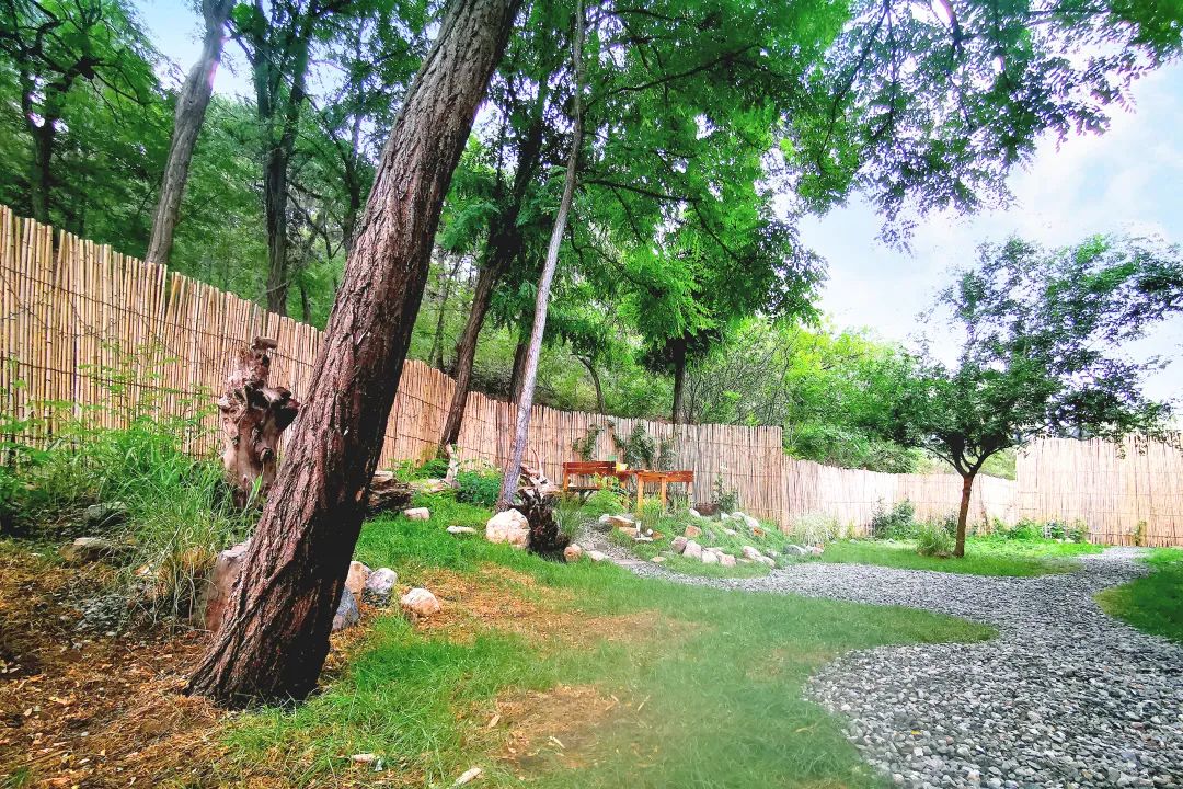 民宿推荐打卡网红酒店,北京小众网红打卡民宿