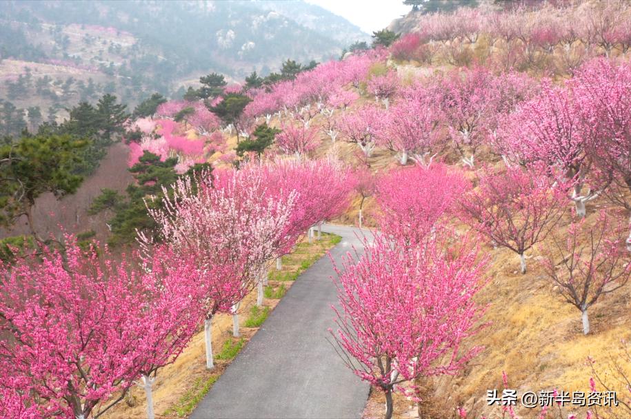 相约时尚青岛WelcometoJimo