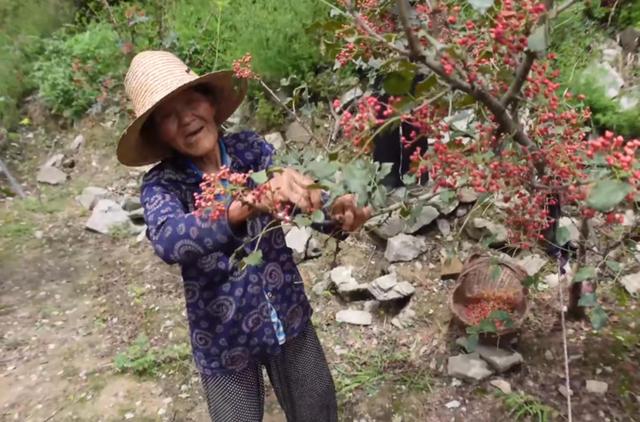 甘肃陇南某个山顶的悬崖村,甘肃陇南礼县悬崖村