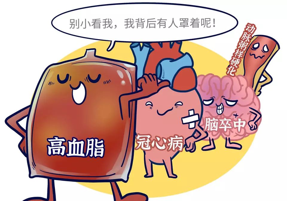 谷维素治疗高血脂吗,谷维素是治疗失眠高血脂的良药