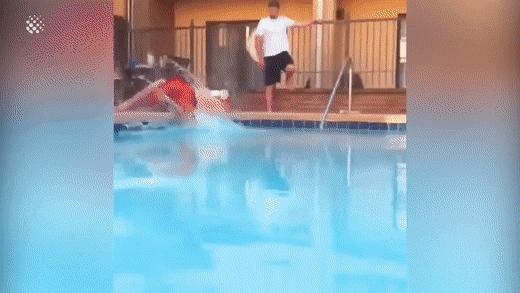 79个难得一见照片，飞机释放烟雾弹，逃票的女乘客，飞翔的蝙蝠