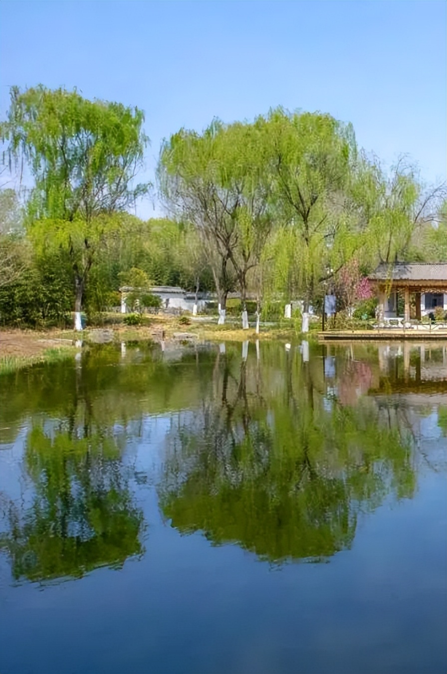 519旅游日免门票广西,2024年519中国旅游日景区优惠