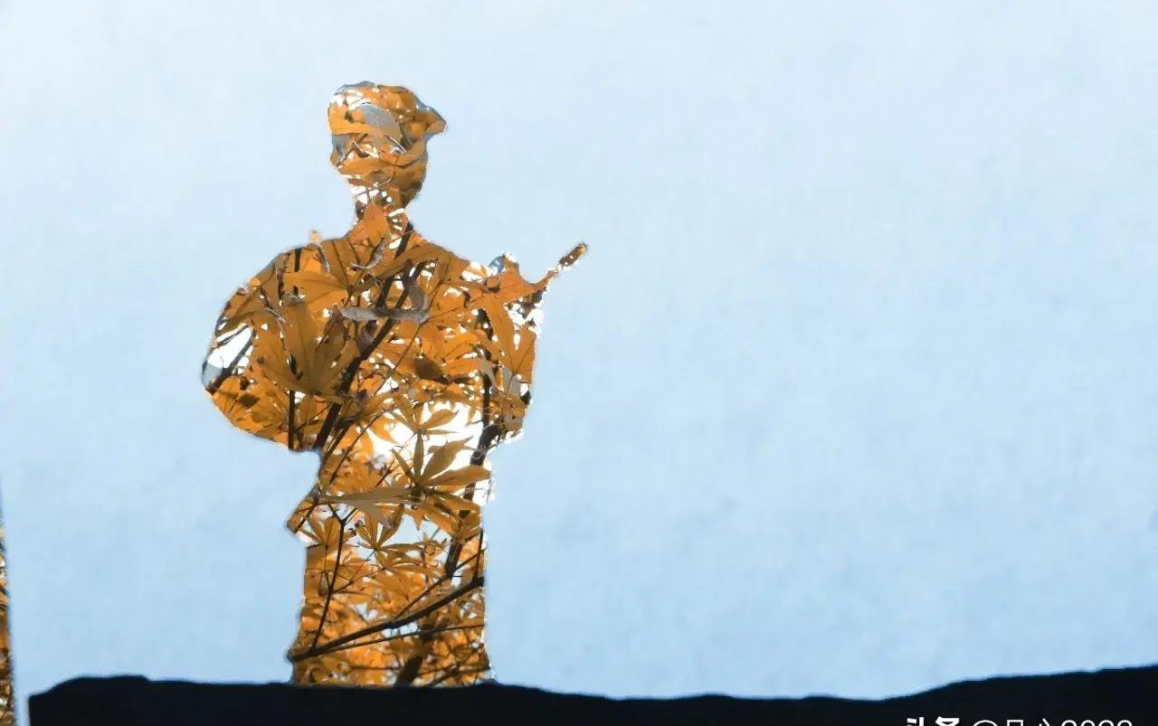 转业军士的档案审查内容,2023年军士转业档案审核标准