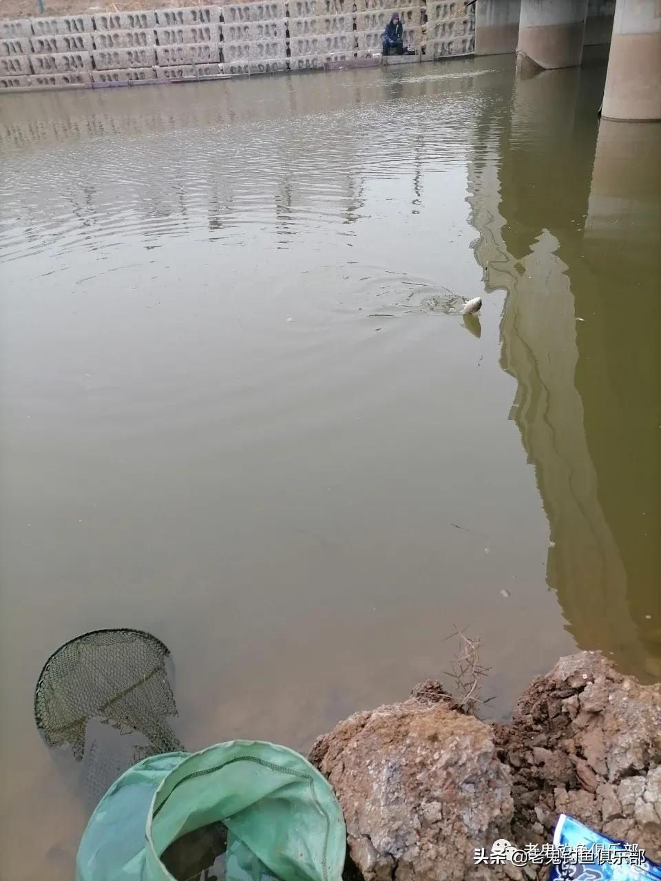 冬钓小野河，*战野**之王·腥香一包搞定