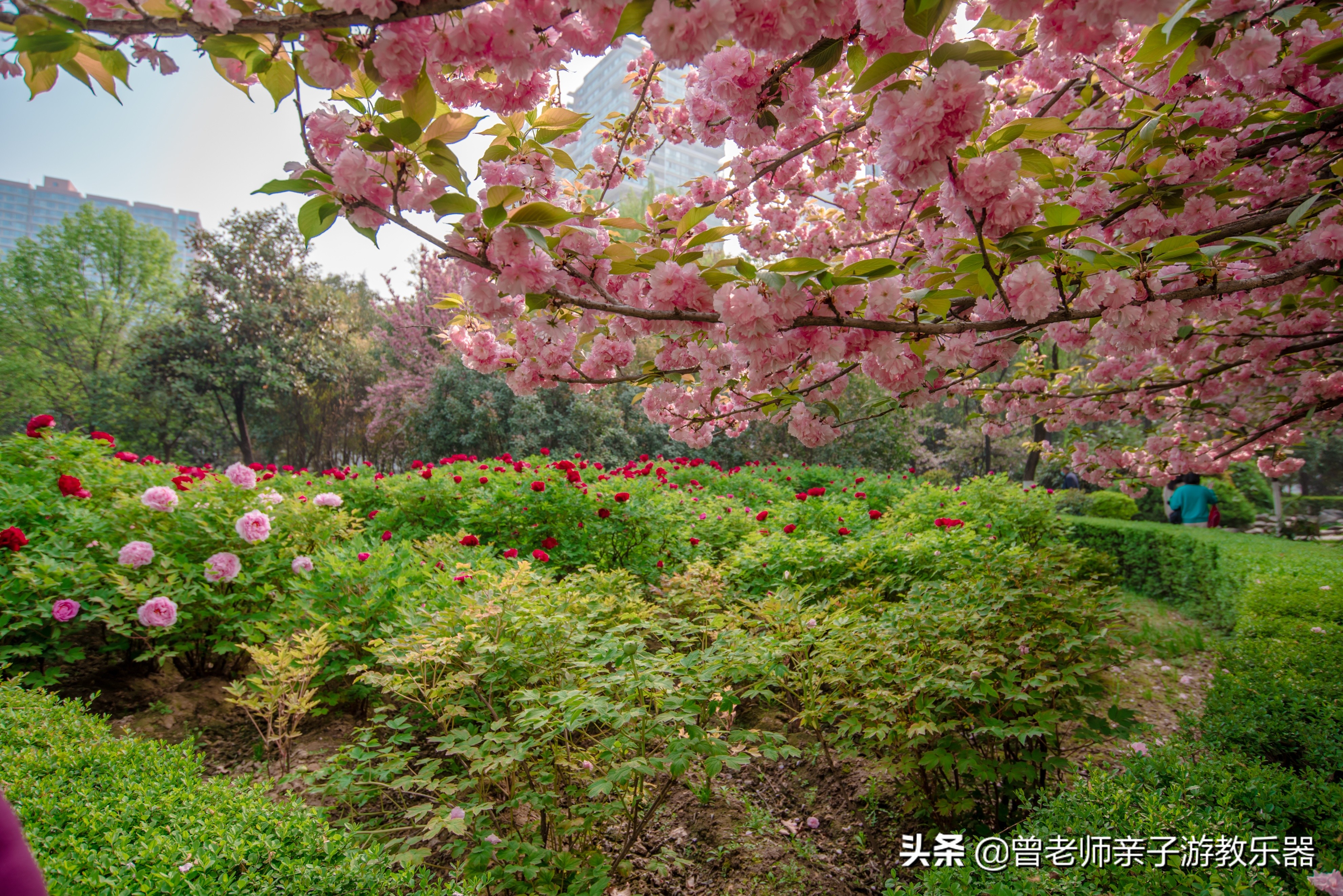 2022西安遛娃一日游的绝佳去处,2022年春节西安遛娃去哪玩最合适