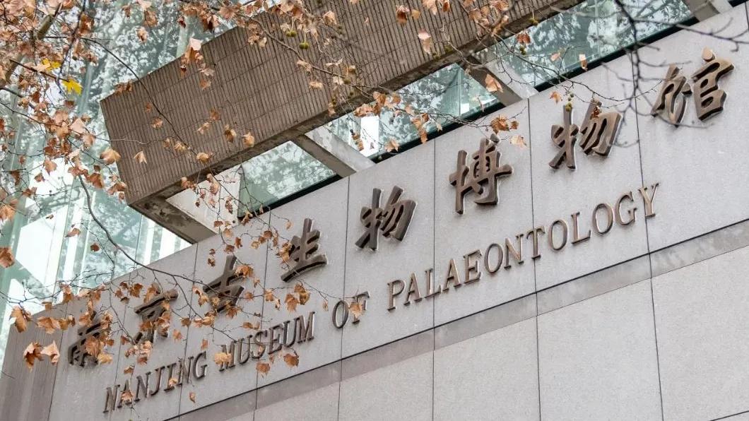 相约博物馆的感受,古生物博物馆南京