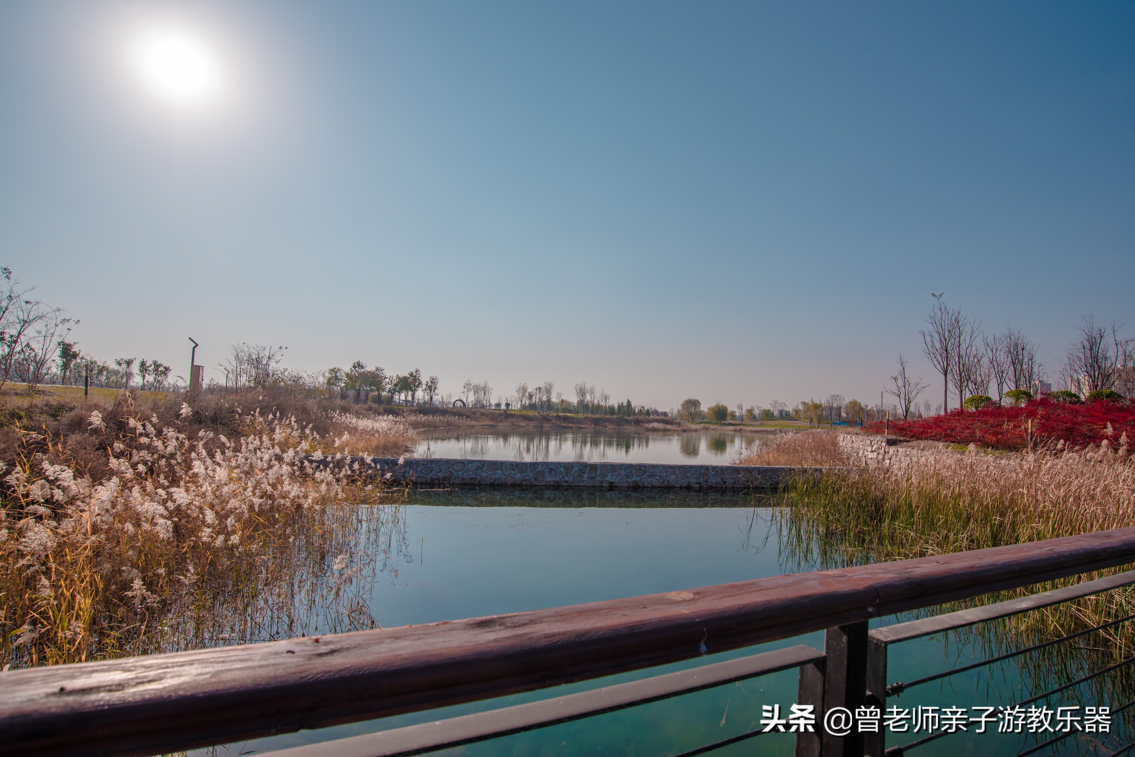 2022西安遛娃一日游的绝佳去处,2022年春节西安遛娃去哪玩最合适