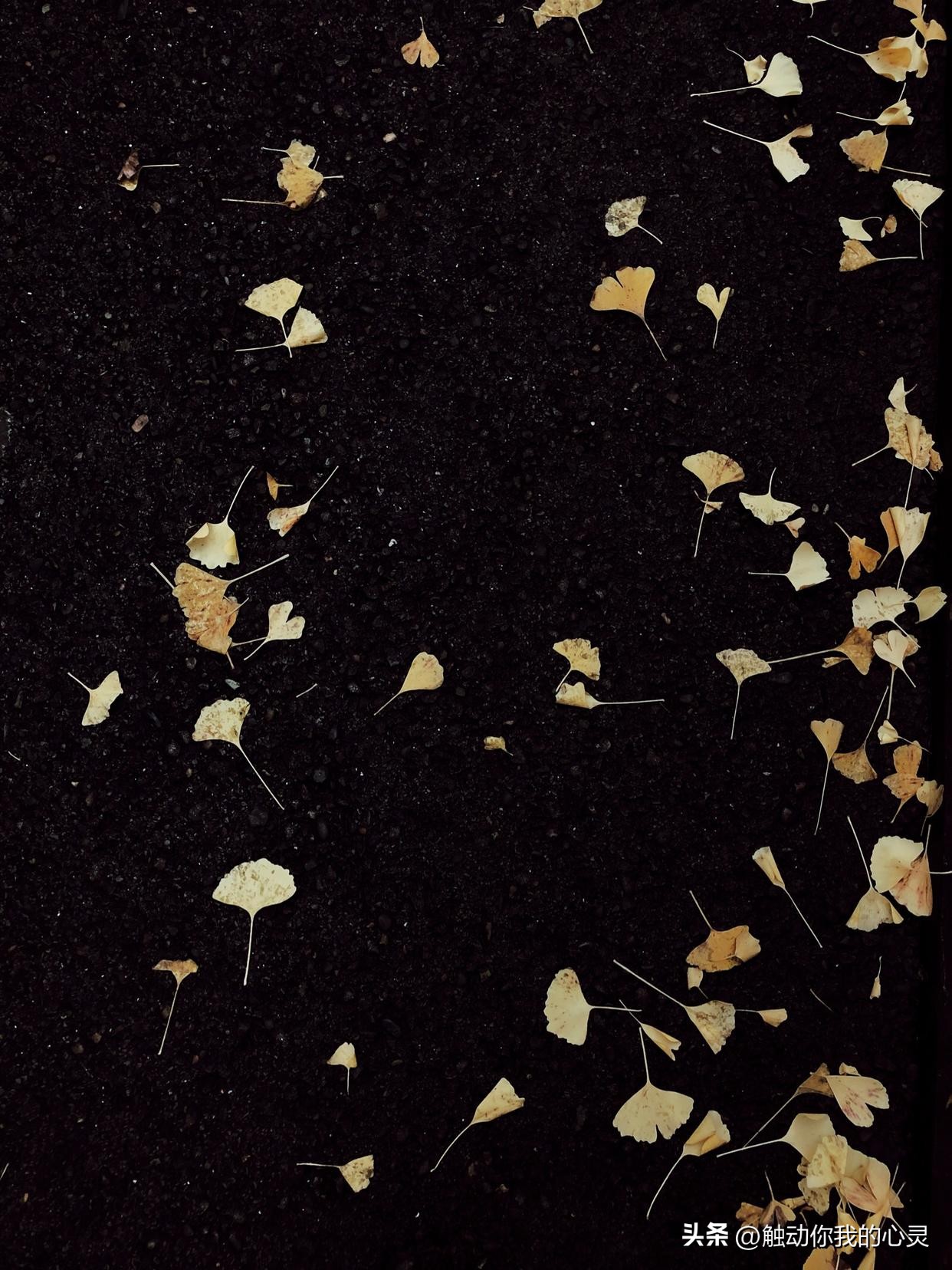 很烦很累的心情说说,高中生不听话很累很烦的说说