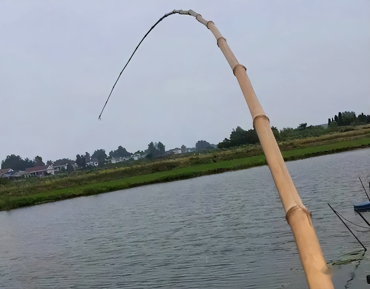 新手钓鱼怎么选钓竿,钓鱼竿新手钓鱼入门基本知识