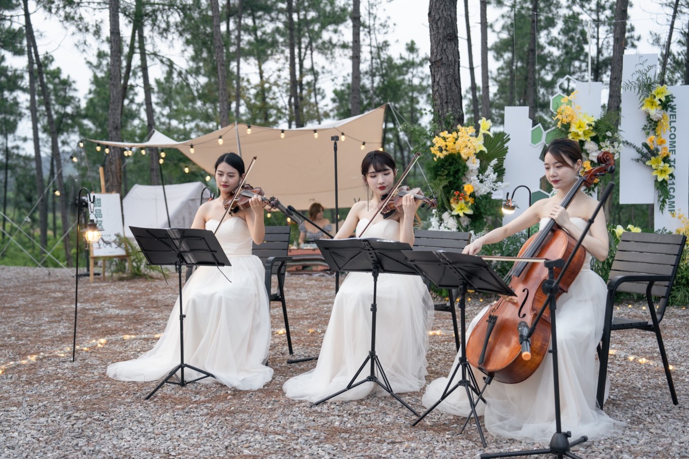 51camp安吉云松营地,帐篷营地森林音乐节